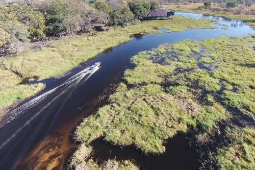 Moremi Crossing omgeving
